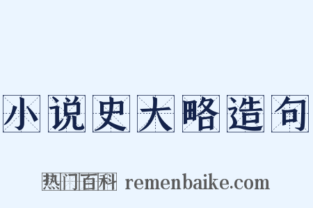 小说史大略造句是什么意思的图片